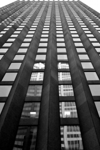DSC7919-bw